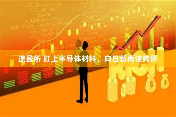 速盈所 盯上半导体材料，向日葵再谋跨界