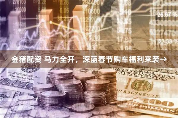 金猪配资 马力全开，深蓝春节购车福利来袭→