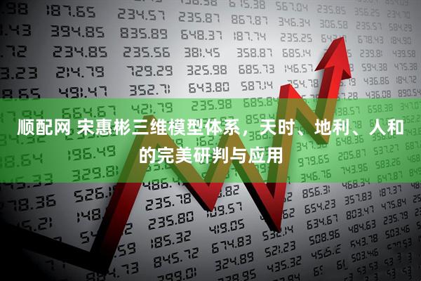 顺配网 宋惠彬三维模型体系，天时、地利、人和的完美研判与应用